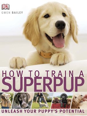 cover image of How to Train a Superpup
